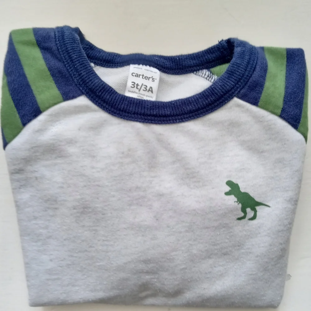 💫Carter's Baby Boy Striped Dinosaur Sweatshirt - Green and Blue - Picture 4 of 13